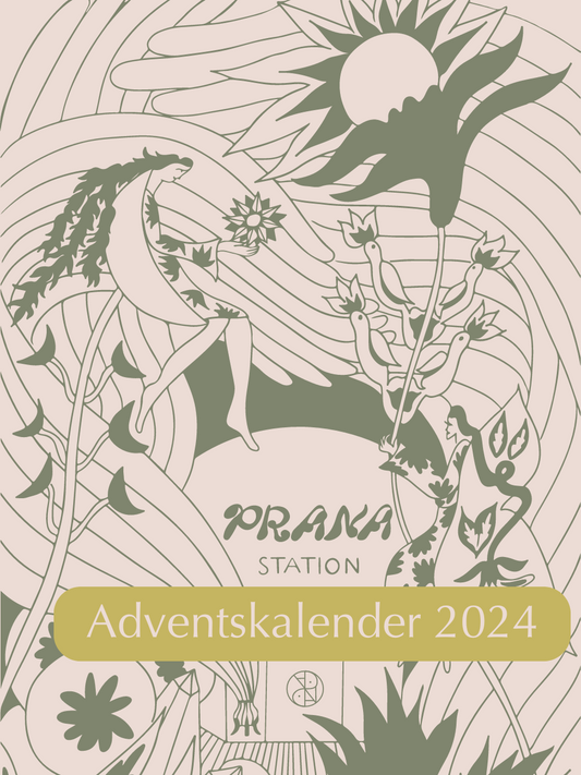 2024 Adventskalender