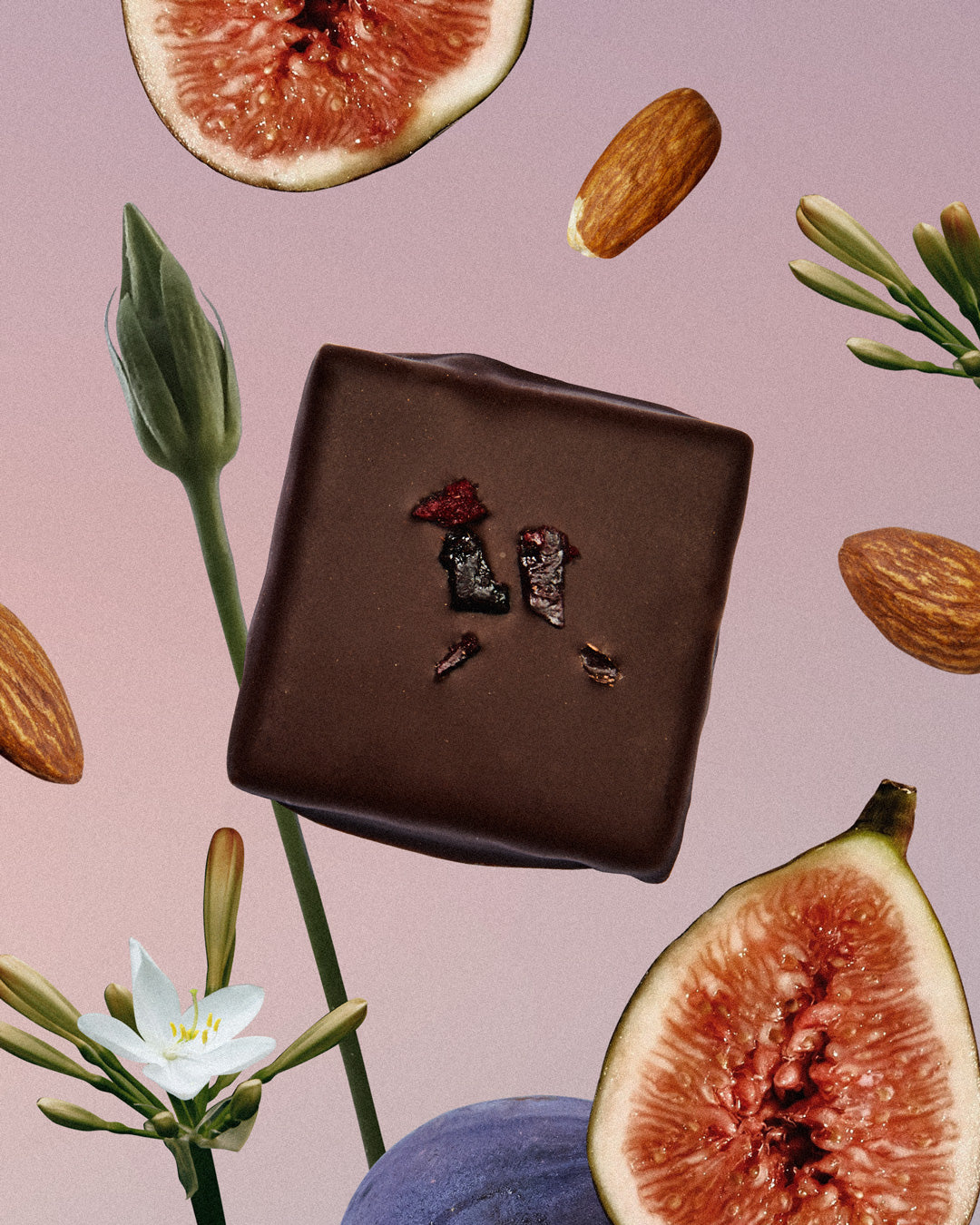 High Vibes Praline Fig & Almond